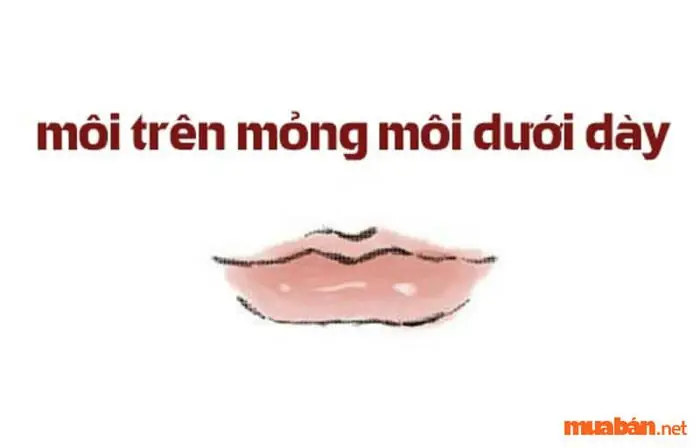 Xem Tướng Môi Trên Mỏng Hơn Môi Dưới