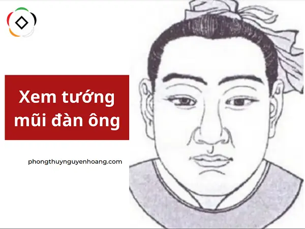 Xem Tướng Mũi Đàn Ông Xem Tướng Mũi Đàn Ông