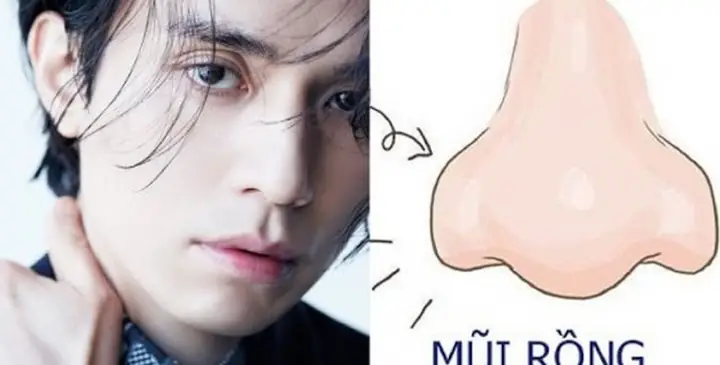 Xem Tướng Mũi Kỳ Lân