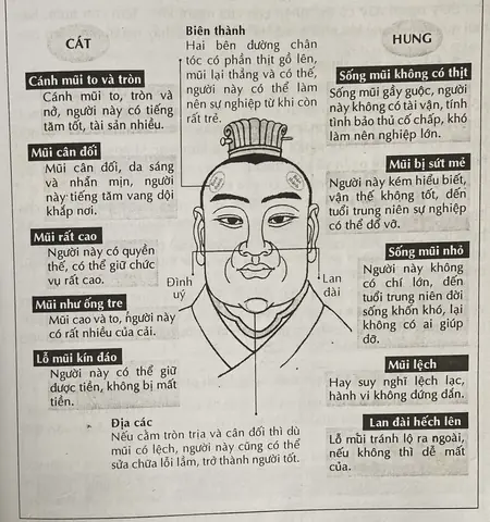 Xem Tướng Mũi Lệch