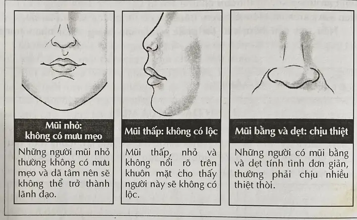 Xem Tướng Mũi Thấp