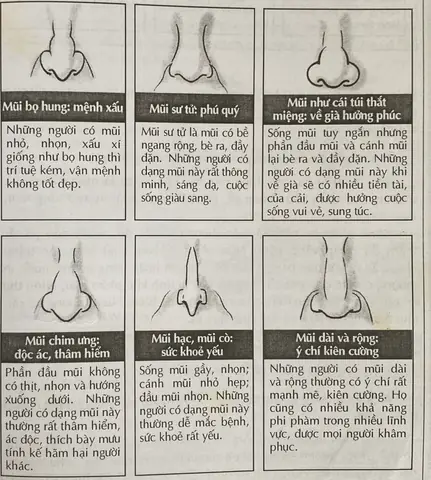 Xem Tướng Mũi To