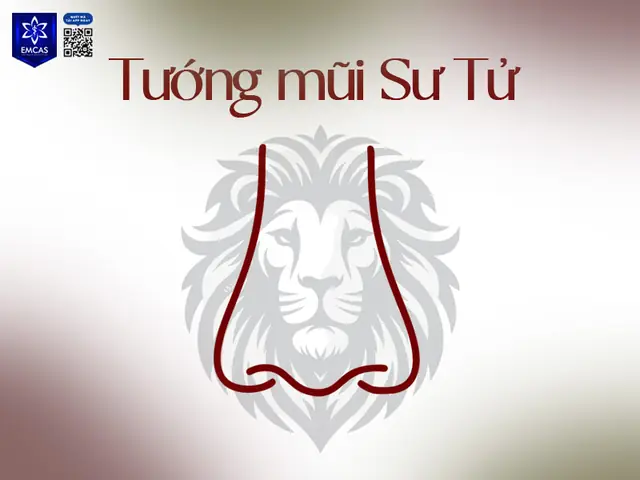 Xem Tướng Mũi Trái Mận