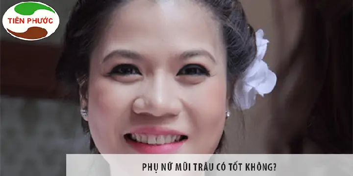 Xem Tướng Mũi Trâu Xem Tướng Mũi Trâu
