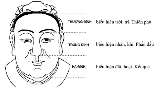 Xem Tướng Mũi Trên Khu6on Mạt