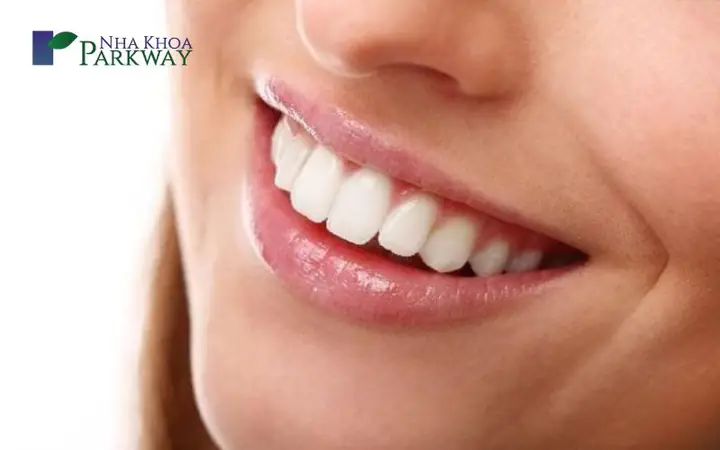 Xem Tướng Răng Thỏ Xem Tướng Răng Thỏ