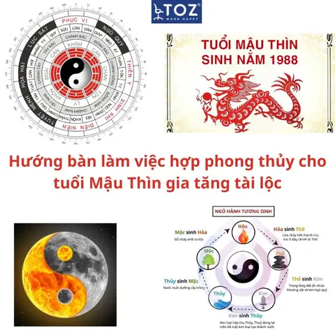 Xem Tướng Số Mậu Thìn