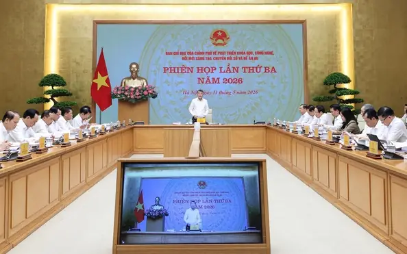 Xem Tướng Số Năm 2019