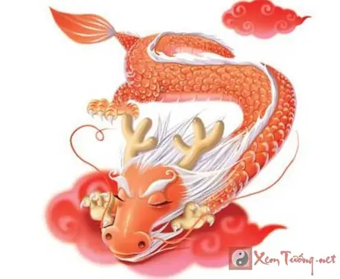 Xem Tướng Số Ngày Sinh Xem Tướng Số Ngày Sinh