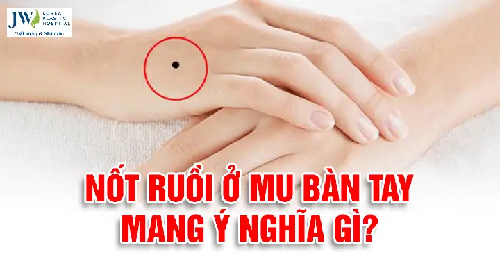 Xem Tướng Số Qua Bàn Tay