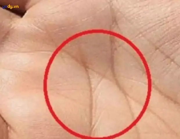 Xem Tướng Số Qua Chỉ Tay Nam