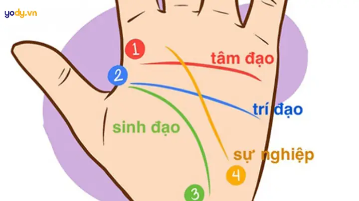Xem Tướng Số Qua Chỉ Tay Nam