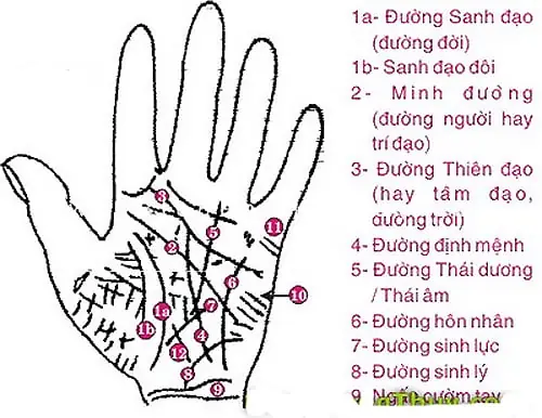 Xem Tướng Số Qua Đường Chỉ Tay Xem Tướng Số Qua Đường Chỉ Tay