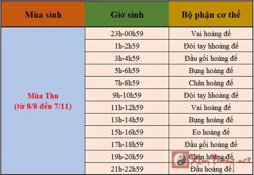 Xem Tướng Số Qua Ngày Giờ Sinh