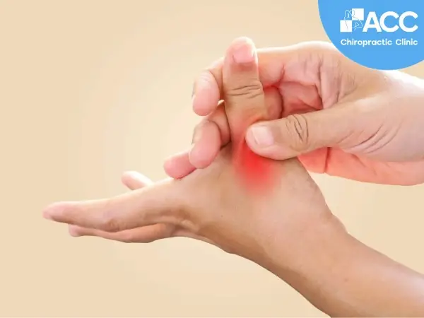 Xem Tướng Số Qua Ngón Tay Cái
