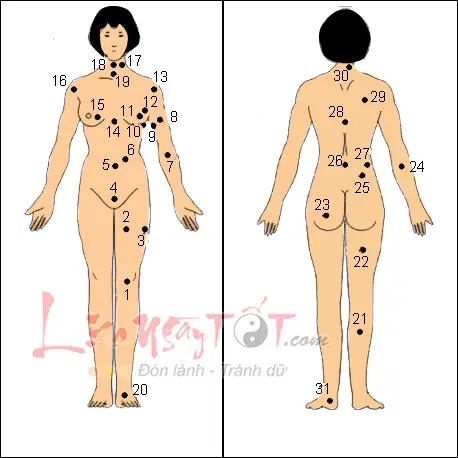 Xem Tướng Số Qua Nốt Ruồi