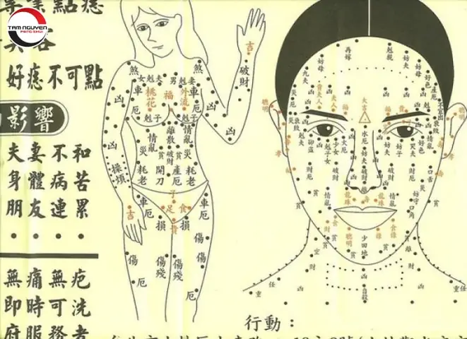 Xem Tướng Số Qua Nốt Ruồi Trên Cơ Thể