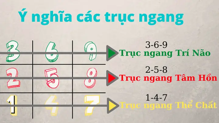 Xem Tướng Số Theo Ngày Sinh
