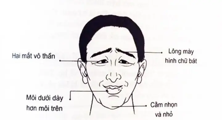 Xem Tướng Số Xuất Ngoại