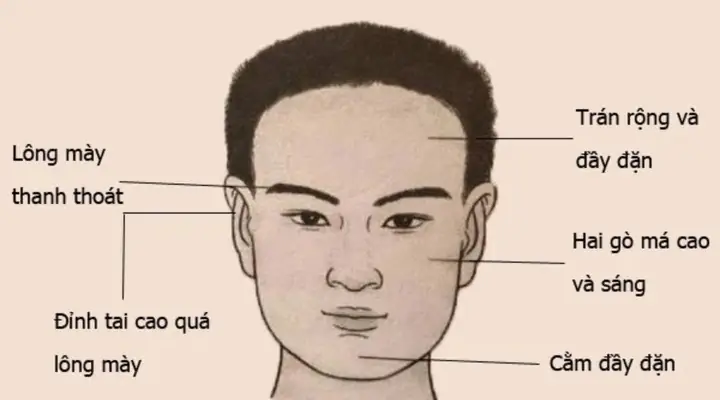 Tướng Mạo Đàn Ông Giàu Có Phúc Đức Tướng Mạo Đàn Ông Giàu Có Phúc Đức