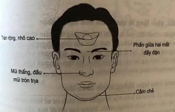 Tướng Mạo Đàn Ông Giàu Có Phúc Đức Tướng Mạo Đàn Ông Giàu Có Phúc Đức