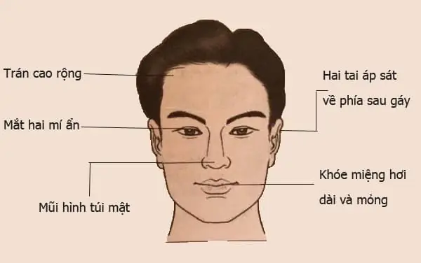 Tướng Mạo Đàn Ông Giàu Có Phúc Đức