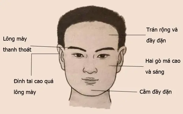 Tướng Mạo Đàn Ông Giàu Có Phúc Đức Tướng Mạo Đàn Ông Giàu Có Phúc Đức