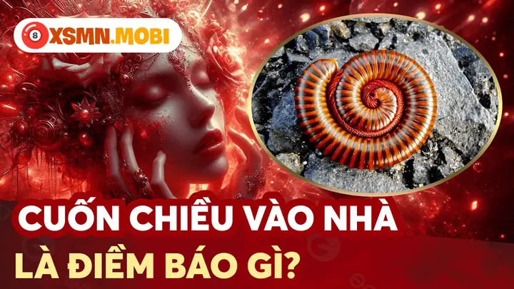 Ba Khía Bò Vào Nhà Là Điềm Gì