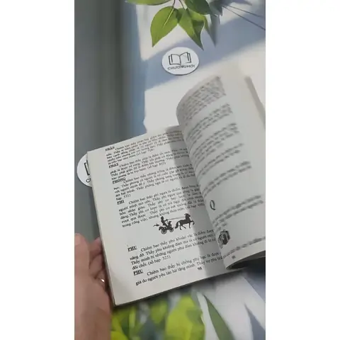 Bị An Những Điềm Chiêm Bao Số Hạp