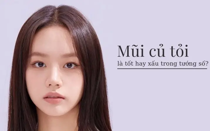 Các Dáng Mũi Trong Nhân Tướng Học Các Dáng Mũi Trong Nhân Tướng Học