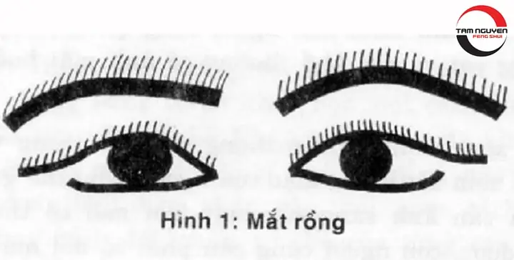 Các Tướng Mắt Các Tướng Mắt