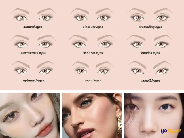 Các Tướng Mắt Các Tướng Mắt