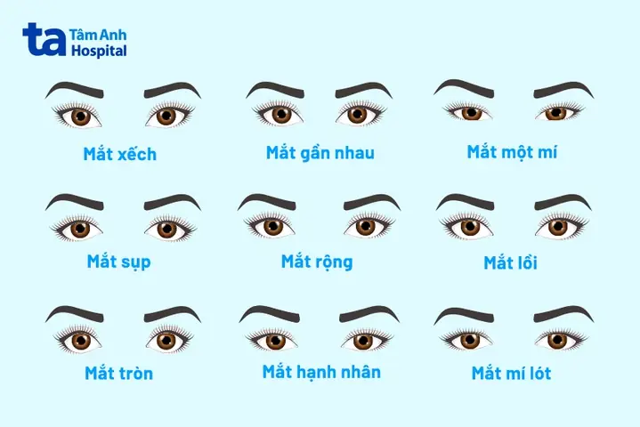 Các Tướng Mắt Các Tướng Mắt