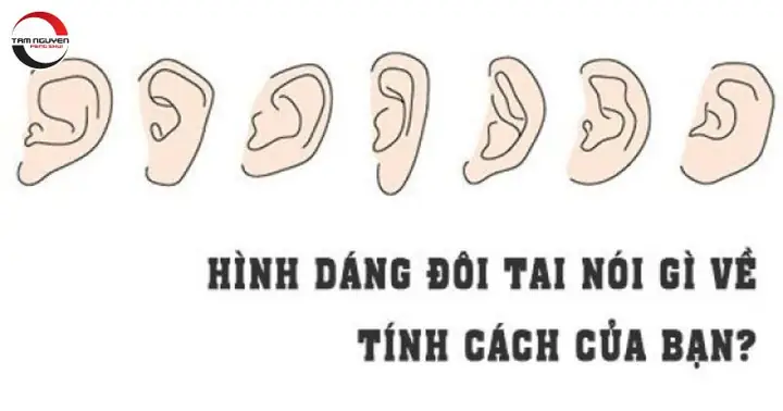 Các Tướng Tai Đàn Ông