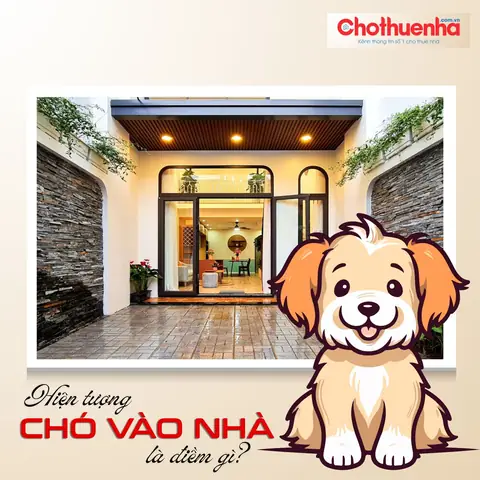 Chó Nâu Vào Nhà La Điềm Gì