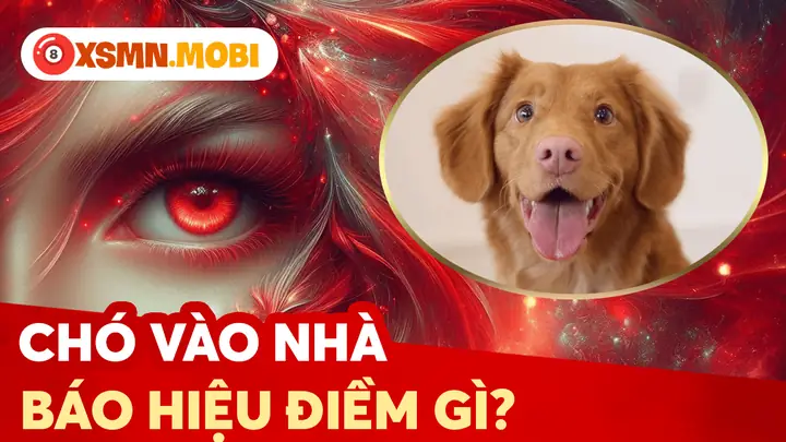Chó Nhạy Lên Xe La Điềm Gì