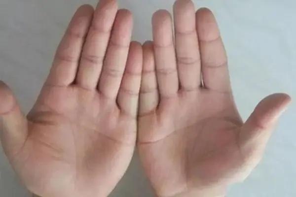 Con Gái Xem Tướng Tay Nào