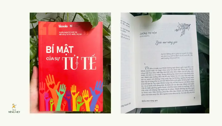 Content Tử Tế Giải Mã Giấc Mơ