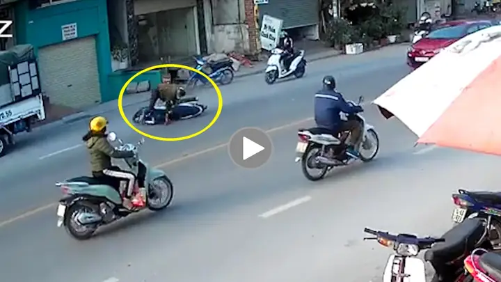 Đâm Phải Chó Có Điềm Gì