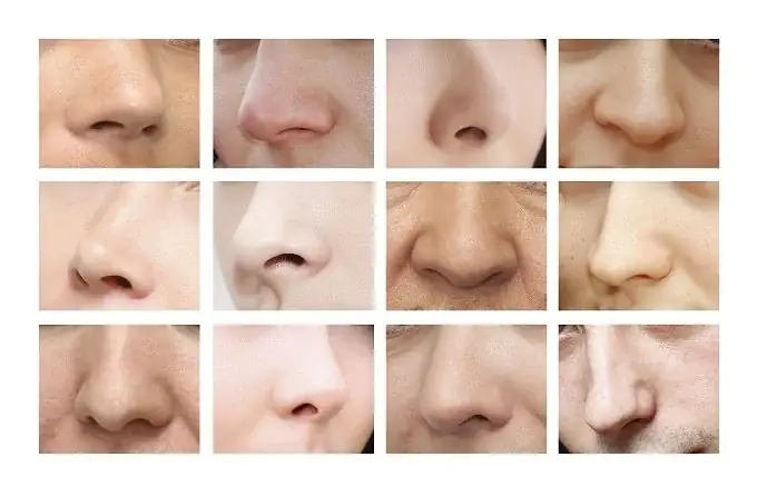 Đàn Bà Lỗ Mũi Lộ Tướng Số Đàn Bà Lỗ Mũi Lộ Tướng Số
