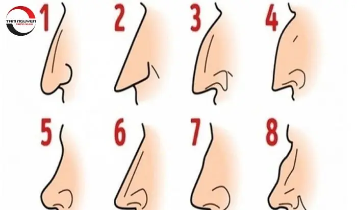 Đầu Mũi To Cánh Mũi Nhỏ Tướng Số