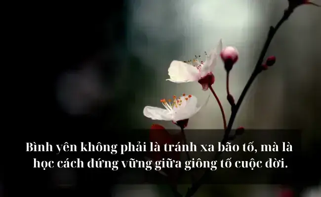 Điềm Báo Giấc Mơ Người Thân Chết