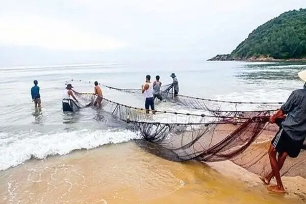 Điềm Báo Mơ Thấy Kéo Lưới Bắt Cá