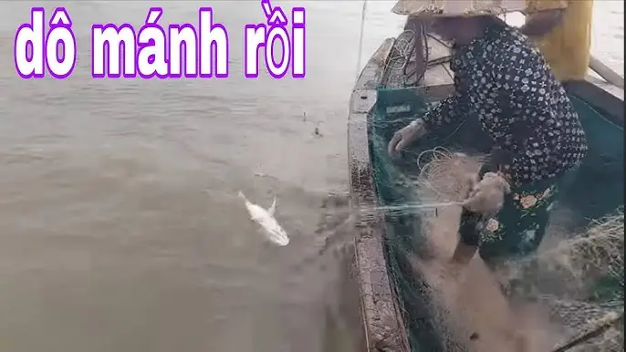Điềm Báo Mơ Thấy Kéo Lưới Bắt Cá Điềm Báo Mơ Thấy Kéo Lưới Bắt Cá