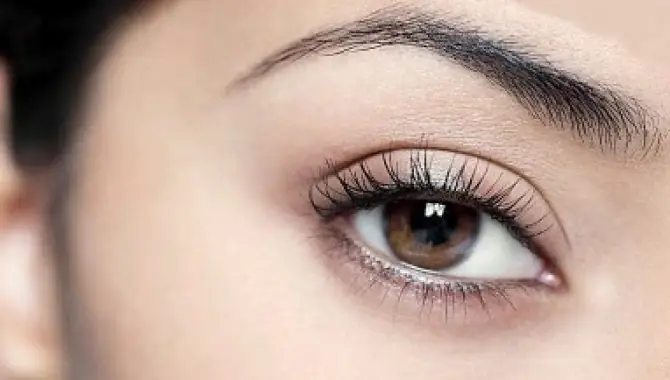 Đoán Tướng Số Qua Lông Mày