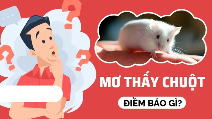 Giải Điềm Báo Giấc Mơ Thấy Chuột