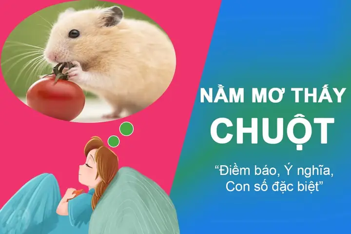 Giải Điềm Báo Giấc Mơ Thấy Chuột