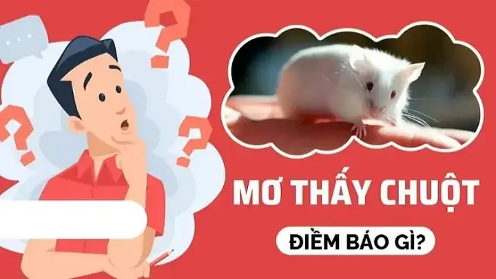 Giải Điềm Báo Giấc Mơ Thấy Chuột