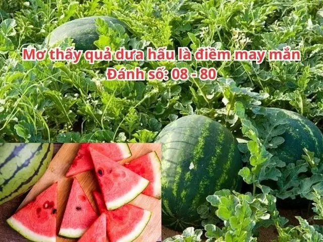 Giải Mã Giấc Mơ Ăn Hạt Bí