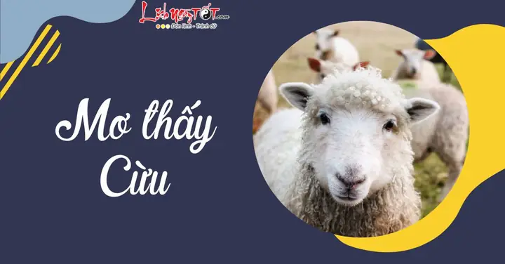 Giải Mã Giấc Mơ Ăn Thịt Dê Giải Mã Giấc Mơ Ăn Thịt Dê